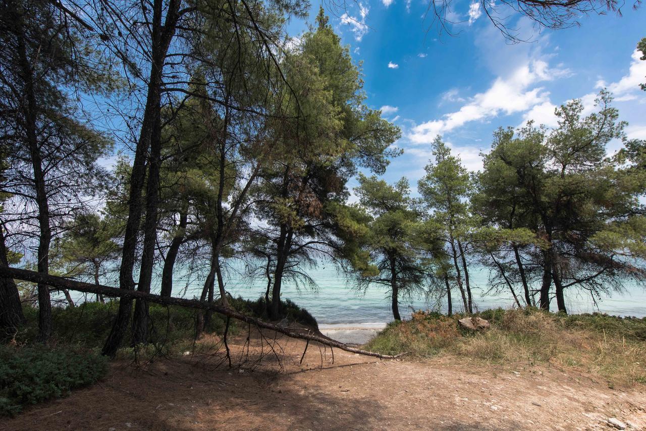 #Luxlikehome - Kriopigi Pines By The Sea エクステリア 写真